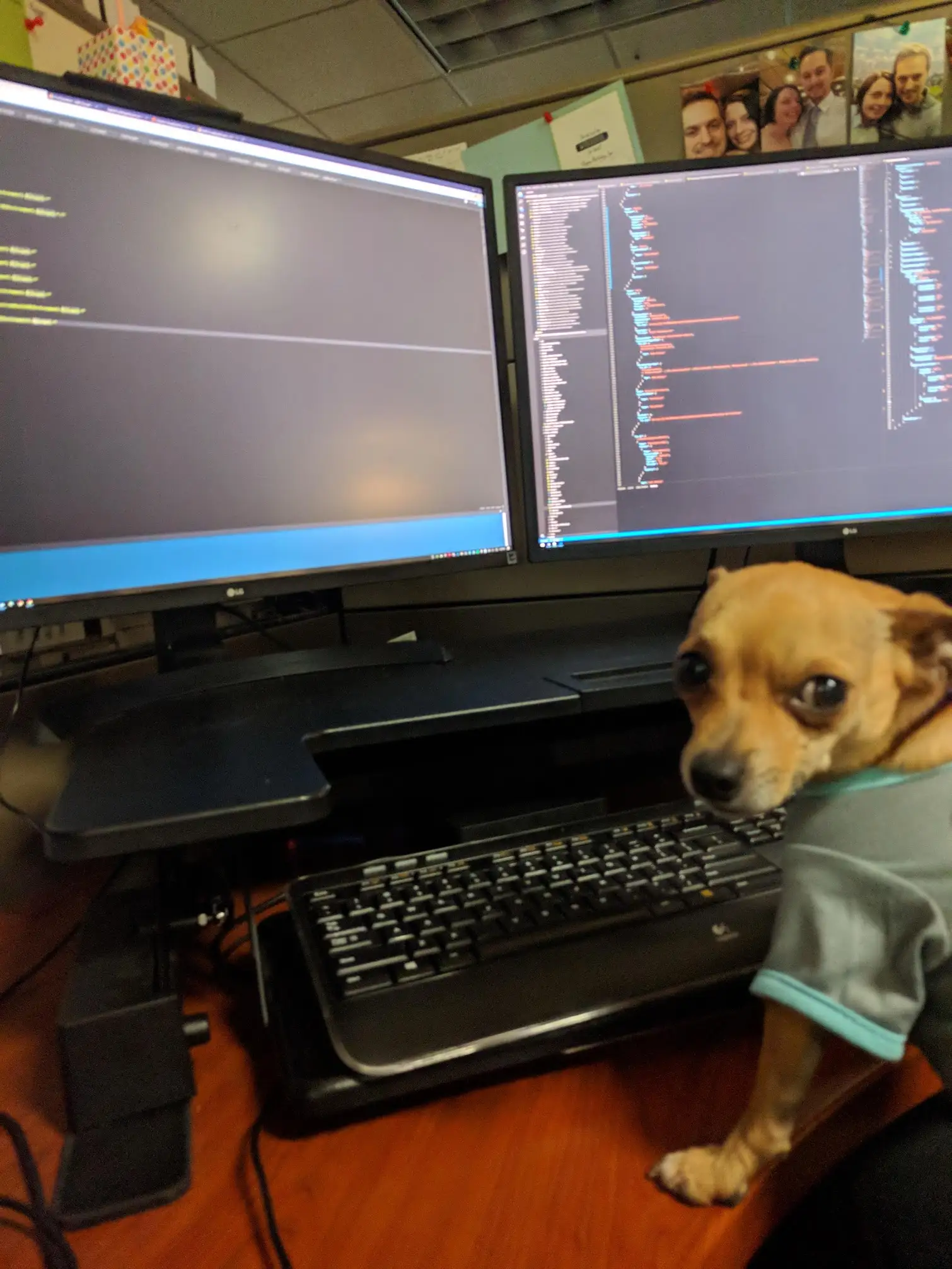 Bruiser - Wired By Design's Chief Morale Officer